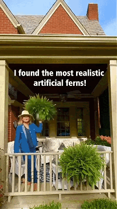 fern