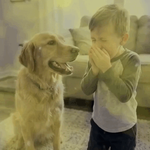 pet