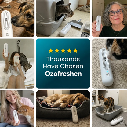 Eliminate Pet Smells In Under 24 Hours & Stop Them From Coming Back