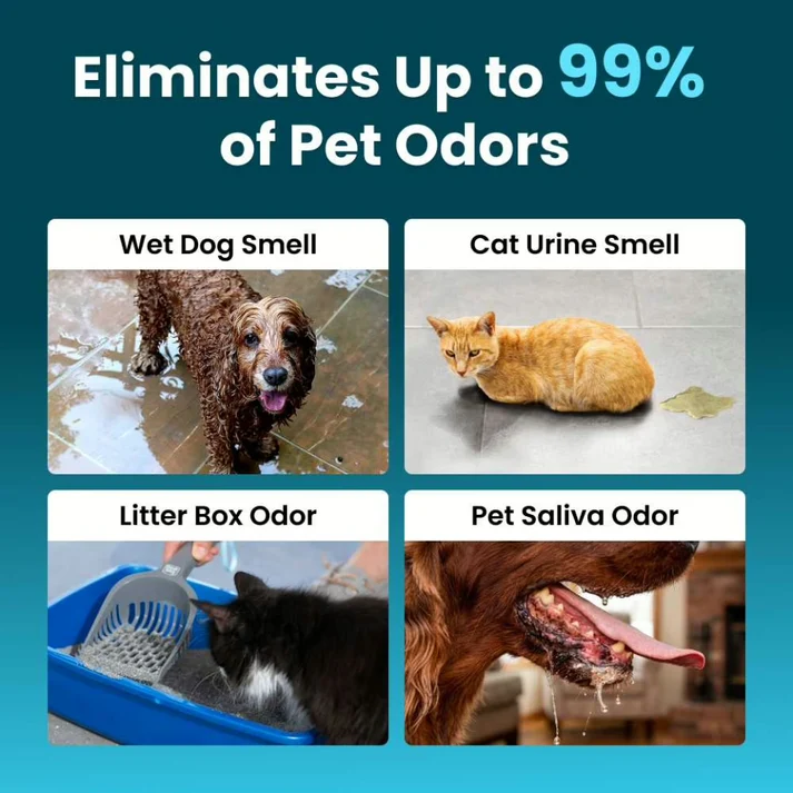 Eliminate Pet Smells In Under 24 Hours & Stop Them From Coming Back