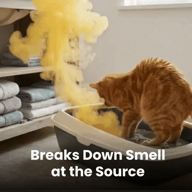 Eliminate Pet Smells In Under 24 Hours & Stop Them From Coming Back